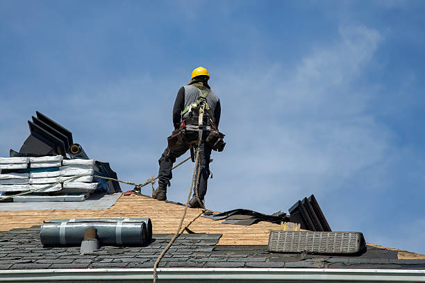 Professional Roof Replacement technician working in Cortland, IL